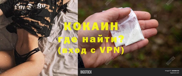СК Осинники