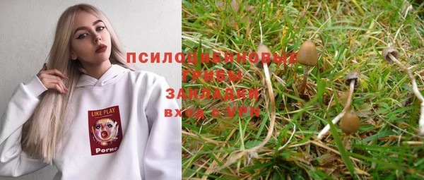 прущая мука Пестово