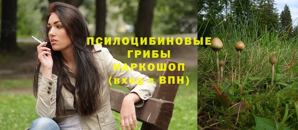 тгк Осташков