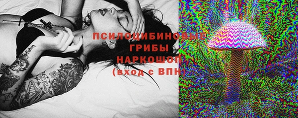 тгк Осташков