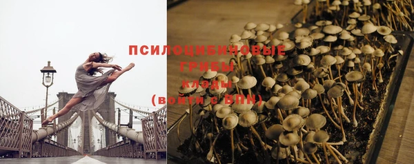 героин Пересвет