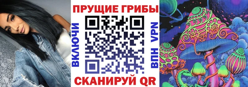наркотики Солигалич Псилоцибиновые грибы Magic Shrooms