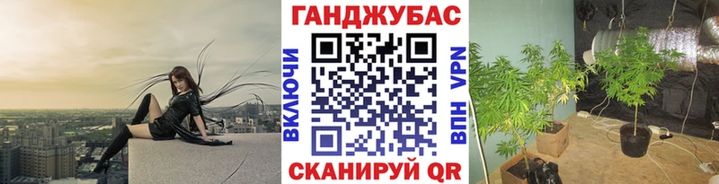 Бошки Шишки VHQ  mega   Солигалич 